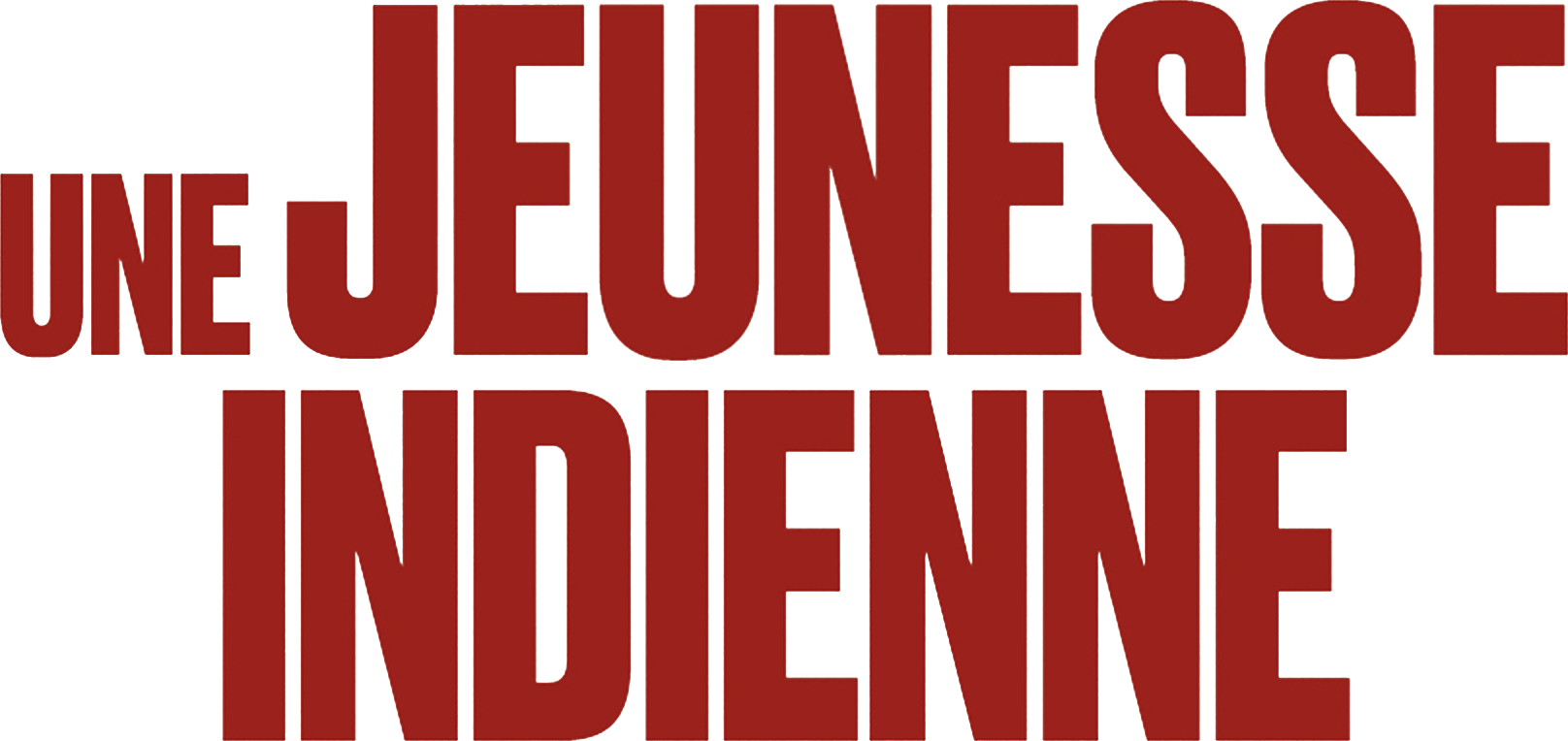 Une jeunesse indienne