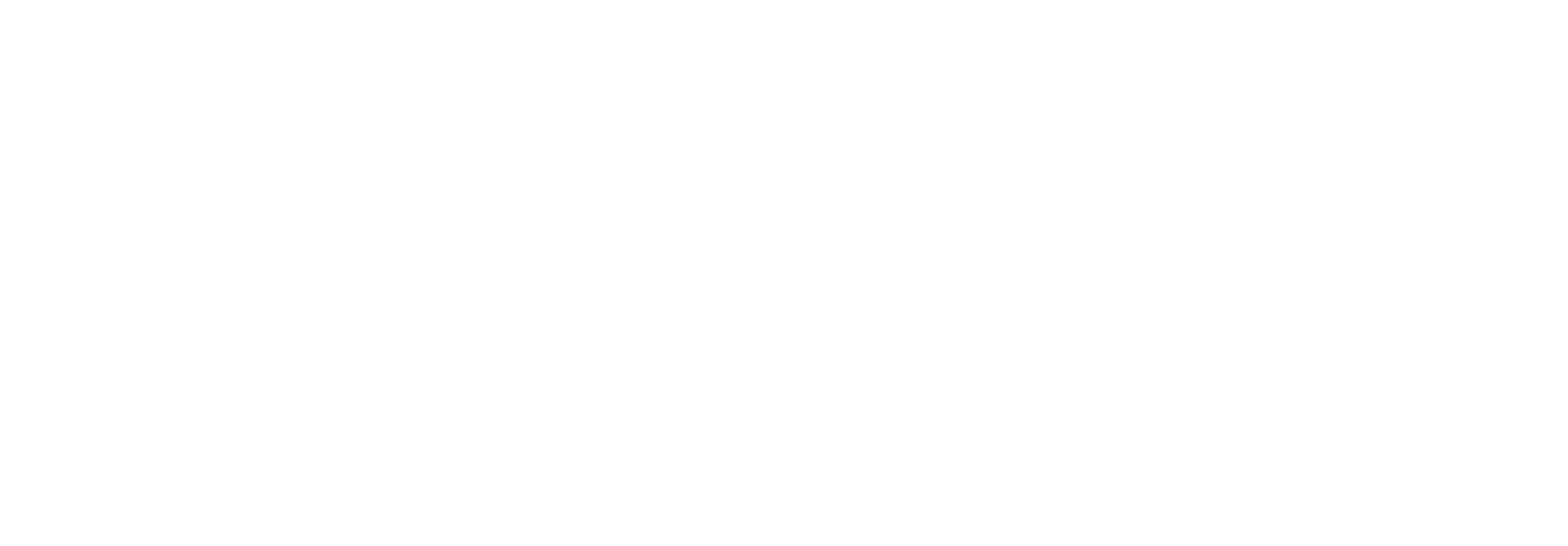 La Syndicaliste