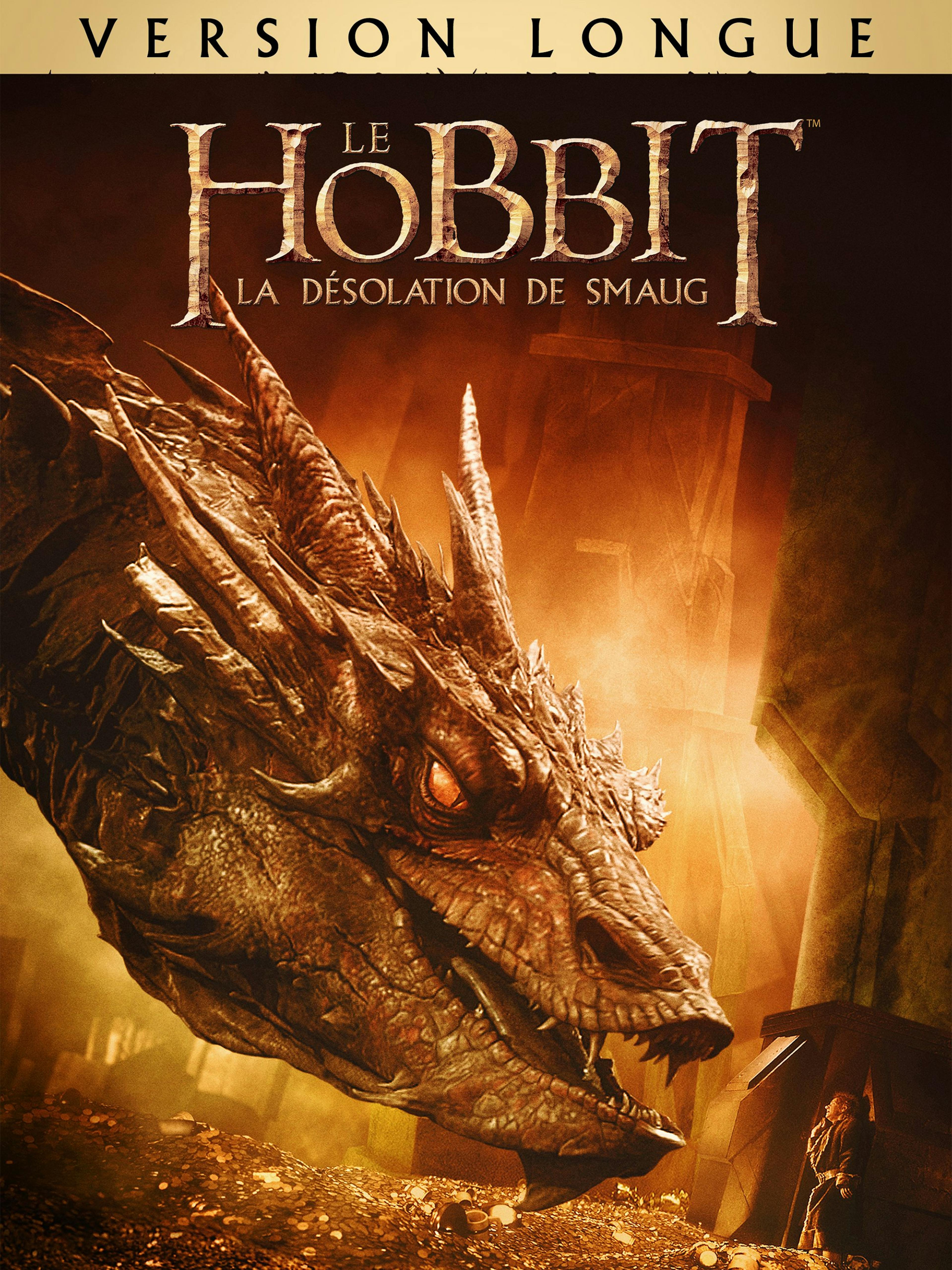 Le Hobbit : La Désolation de Smaug - Version longue