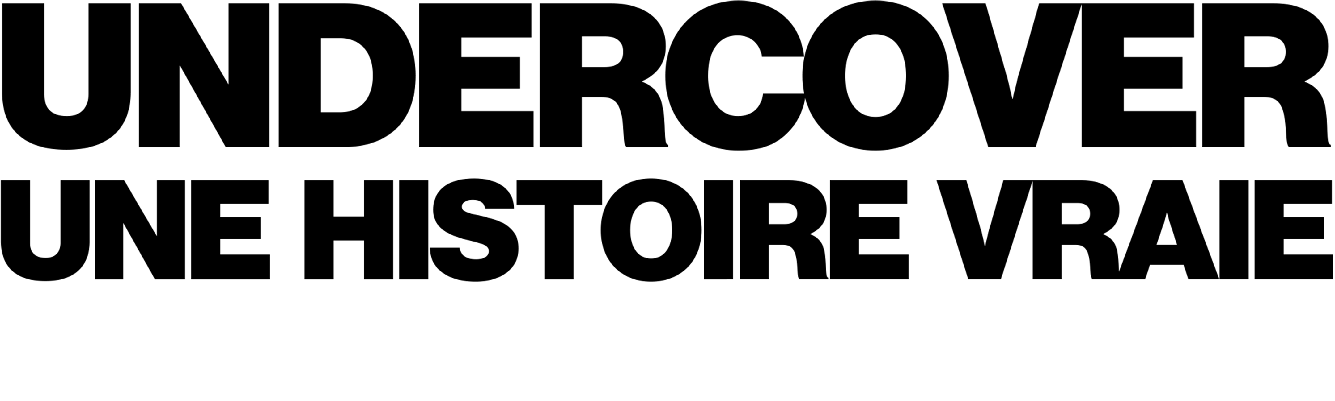 Undercover : Une histoire vraie