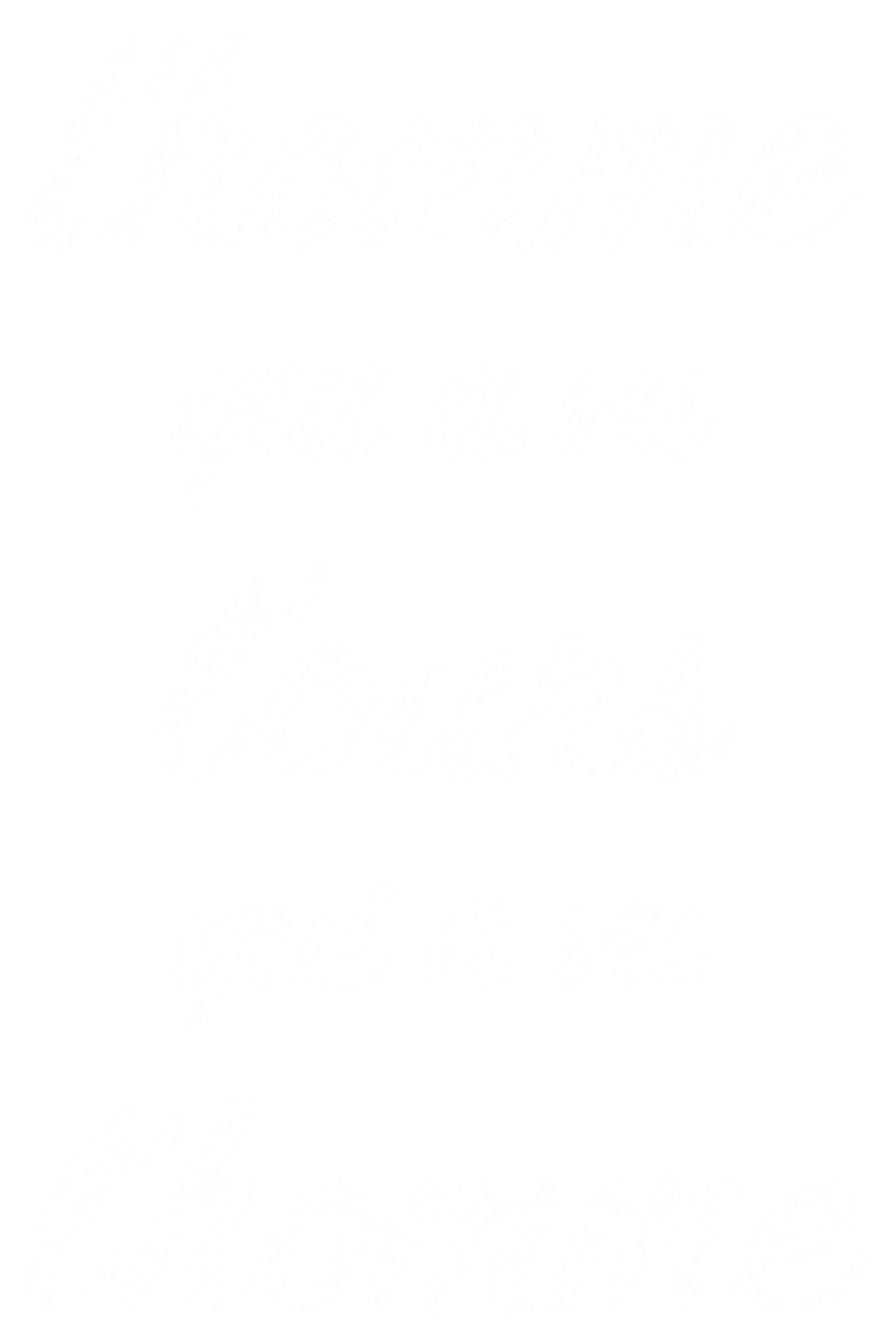 L'Homme qui a vu l'ours qui a vu l'homme