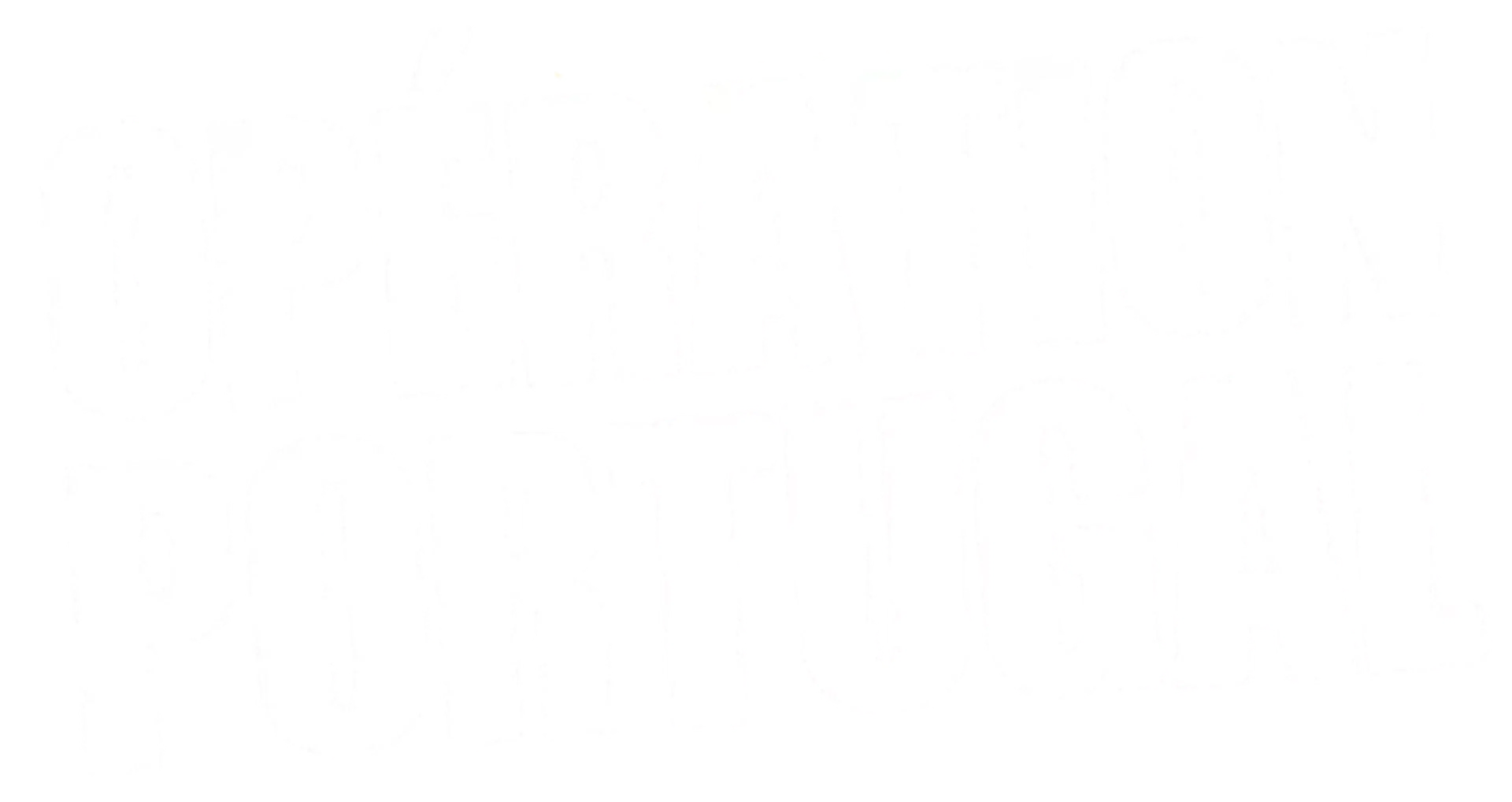 Opération Portugal