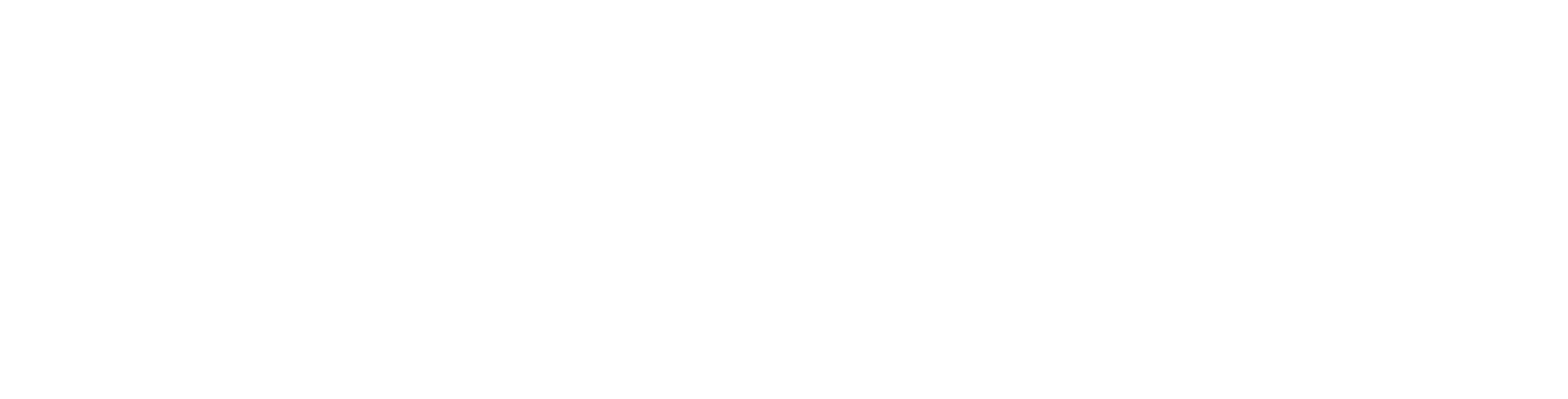 Mon ami le petit manchot