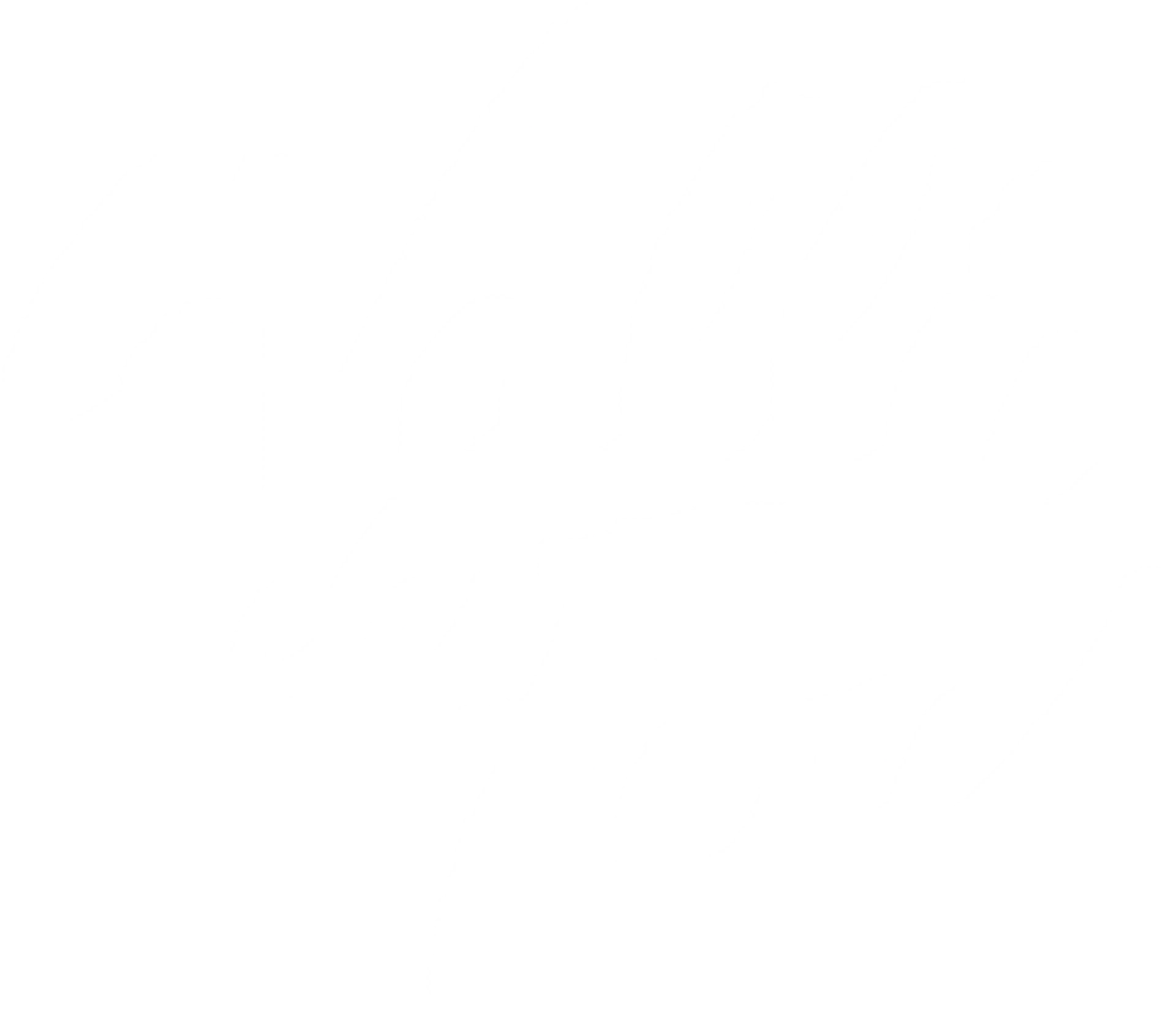 La Vallée des fous