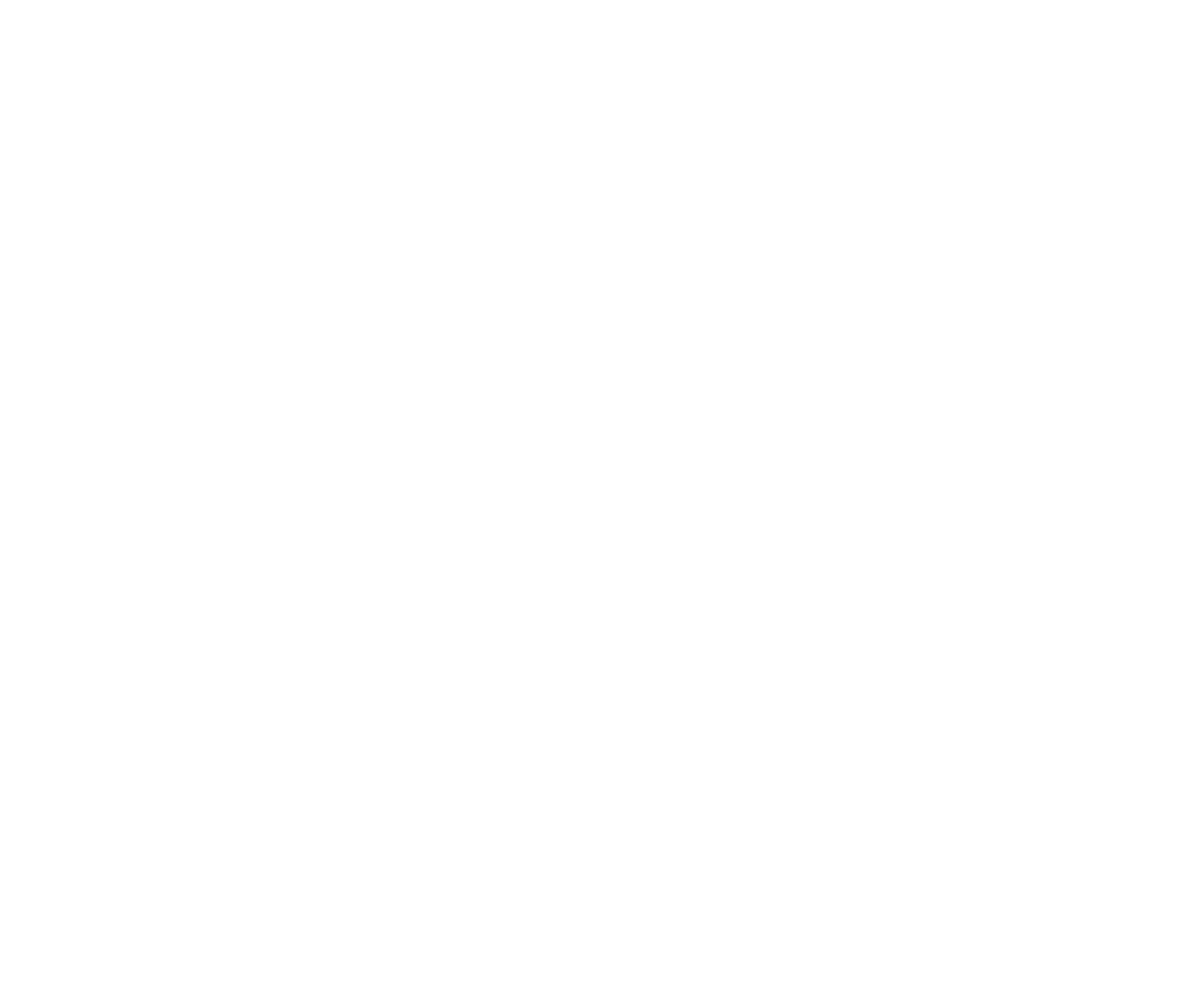 The Ritual : L'Exorcisme d'Emma Schmidt