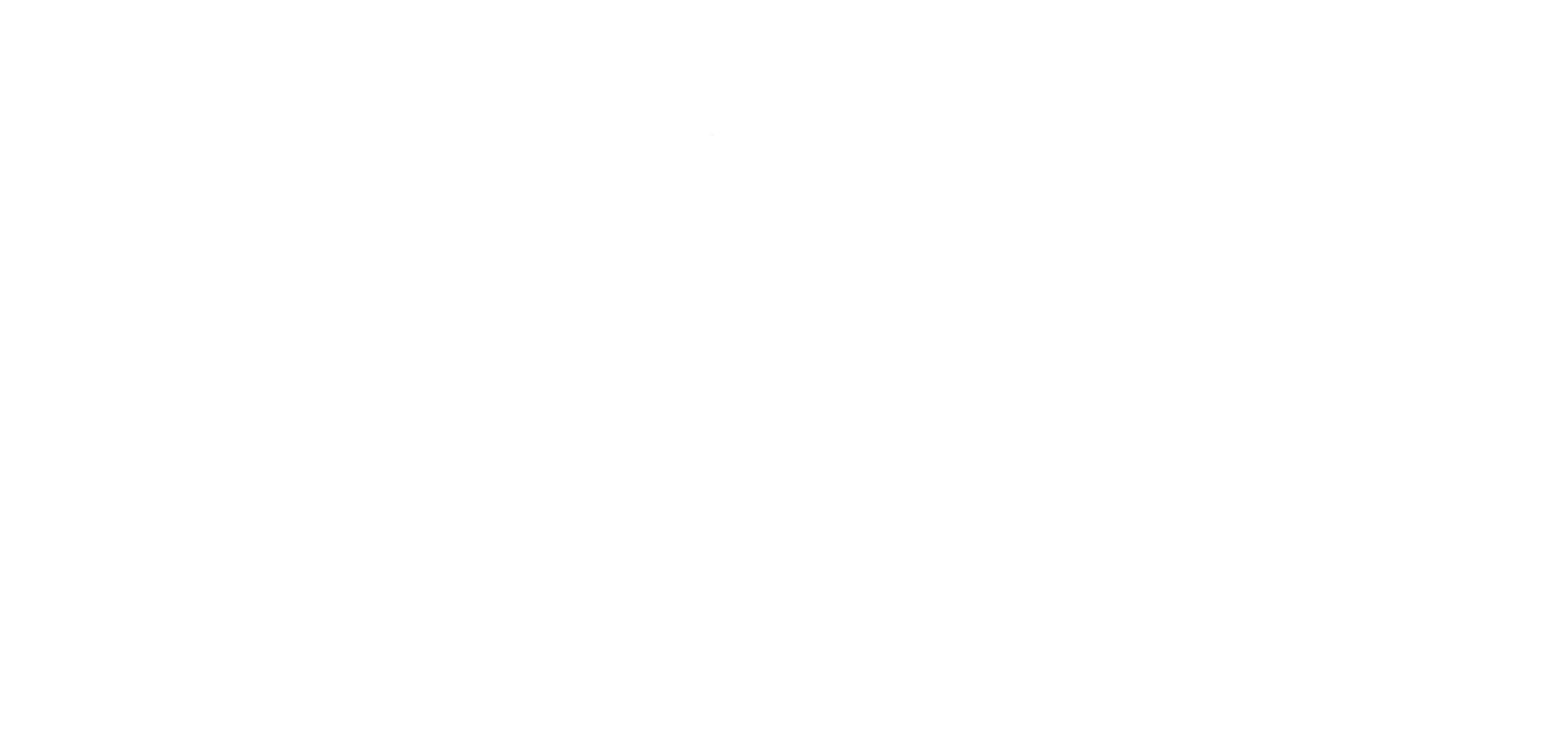 Les Incognitos