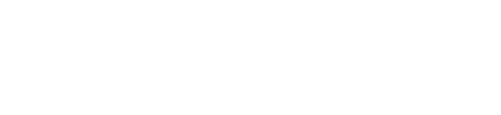 Green Book : Sur les routes du sud