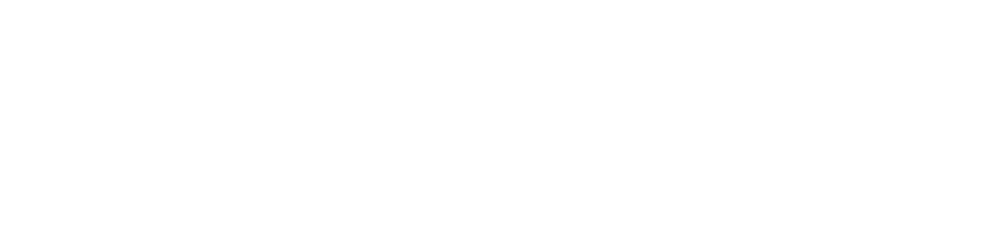 Green Book : Sur les routes du sud