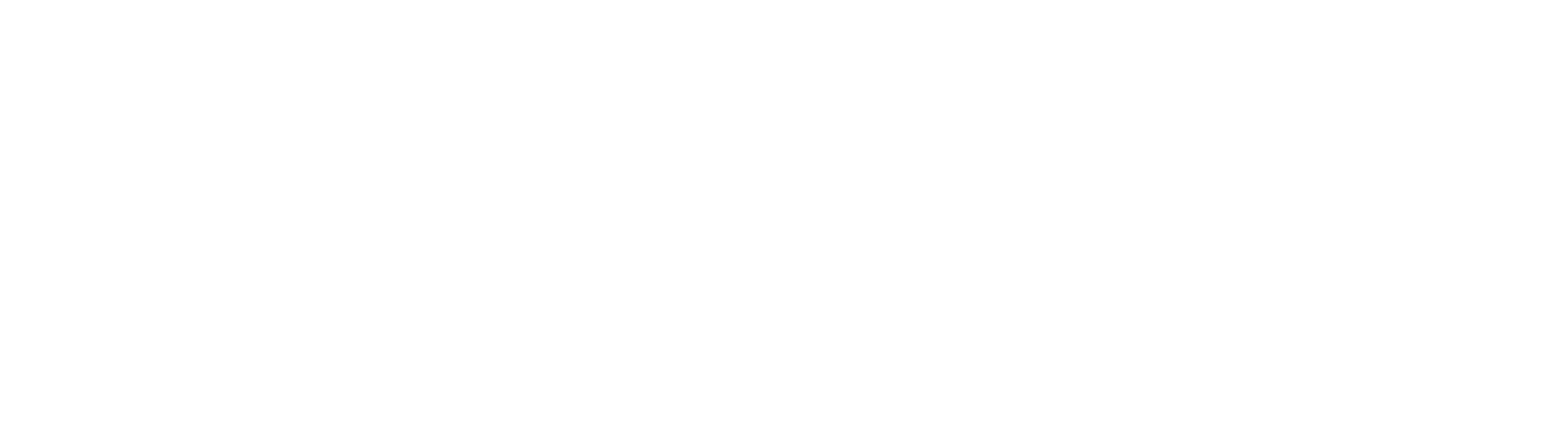 Fast & Furious 9