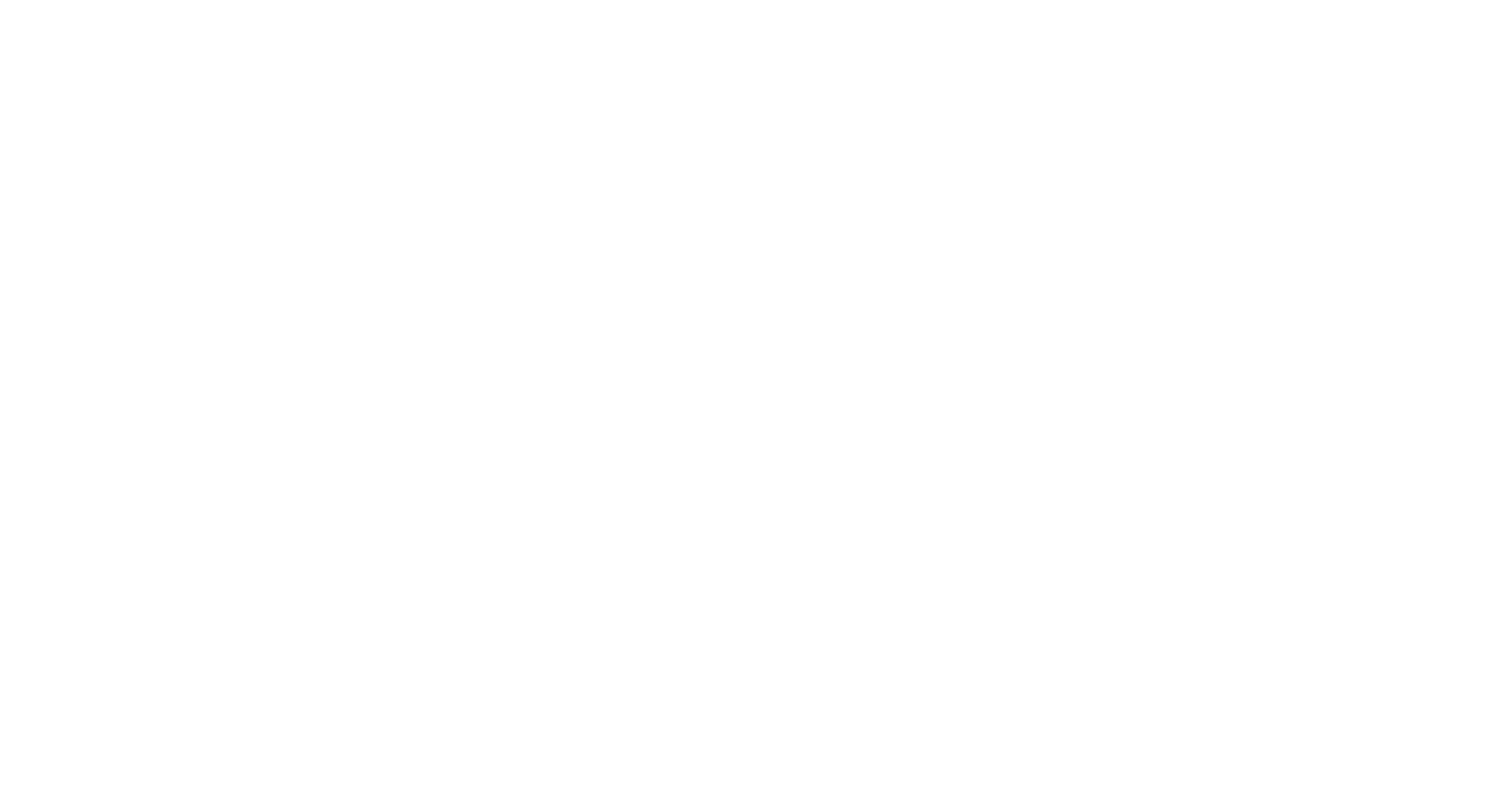 The Bling Ring
